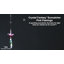 Crystal Fantasy ™ - Flamant rose