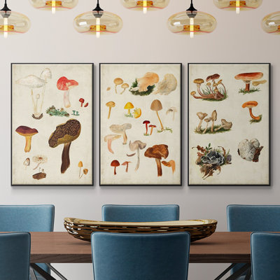 Champignon X