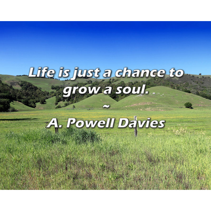 A. Powell, citation de Davies: La vie est juste une chance de faire grandir une âme., H 26 po x l 32 po