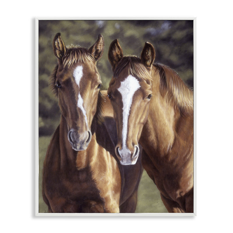 Art d'une paire de chevaux bruns par Victoria Schultz, Giclée encadrée blanc bord de mer, H 30 po x l 24 po