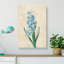 Dutch Hyacinth Flowers by Charles DOrbigny - Wrapped Canvas-55342690