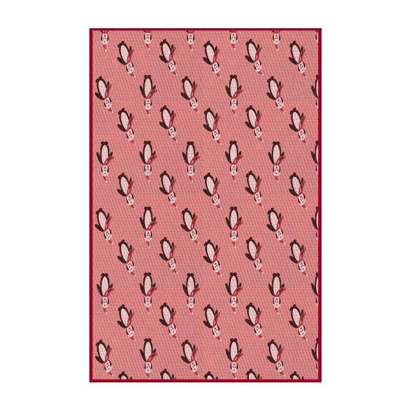 Indoor Rug