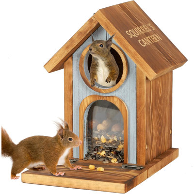 Large Capacity Squirrels Feeders For Outside,Brown-1Pk