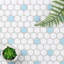 Carreau de mosaïque en porcelaine pour mur et plancher 1 "x 1" Value Series-260500535