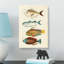 East Indies Fish Illustrations Fol. 2 by Louis Renard - Wrapped Canvas-55342816