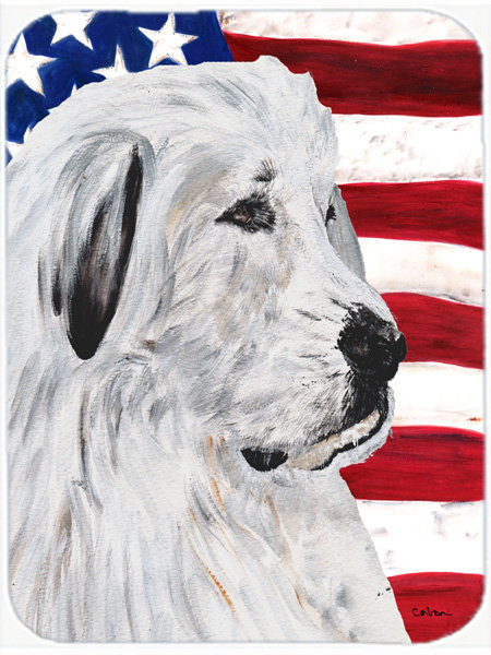 Planche à découper en verre American Flag USA