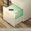 40cm Wide 2 -Drawer Mobile File Cabinet-648953202