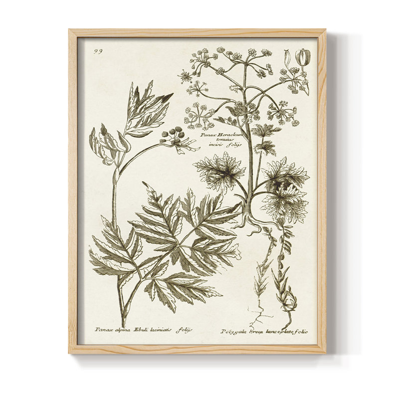 Sepia Botanical Journal III Framed Print - Solid Wood, Natural, 11" H x 9" W