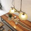 Tunney 2-Light Novelty Pendant