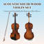 Ensemble de violon professionnel 4/4