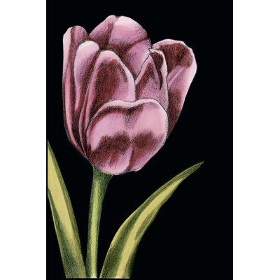 Vibrant Tulips III by Ethan Harper - Wrapped Canvas Art Prints