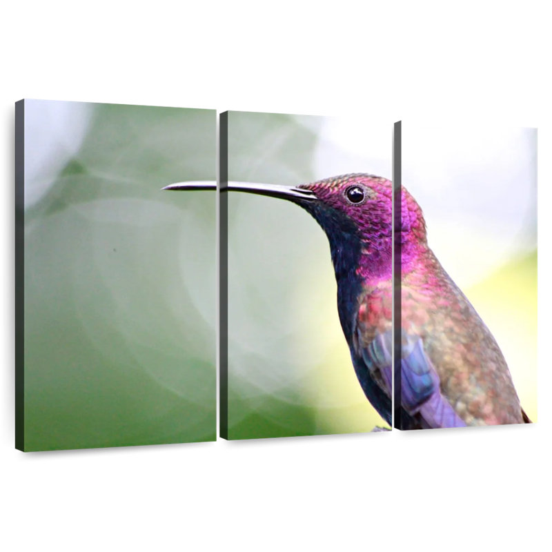 Colibri jamaïcain Brampt, H 42 po x l 65 po