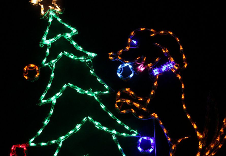 Outdoor lighted holiday decoration featuring a green Christmas tree with a star topper next to a puppy silhouette against a black background.