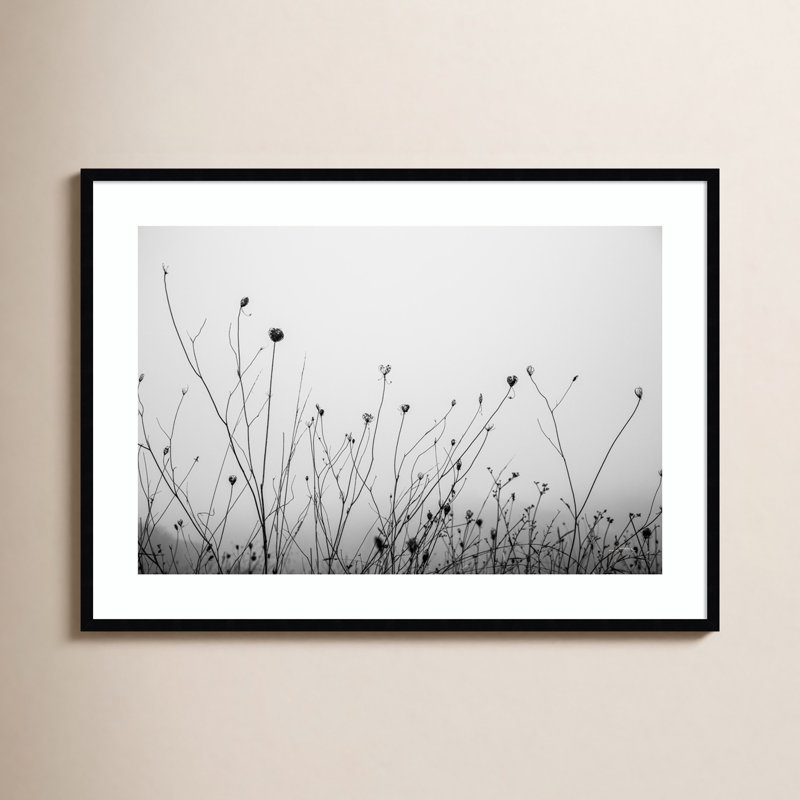 «Autumn Grasses» par Aledanda - Photographie avec cadre, Cadre noir, H 30 po x l 41 po