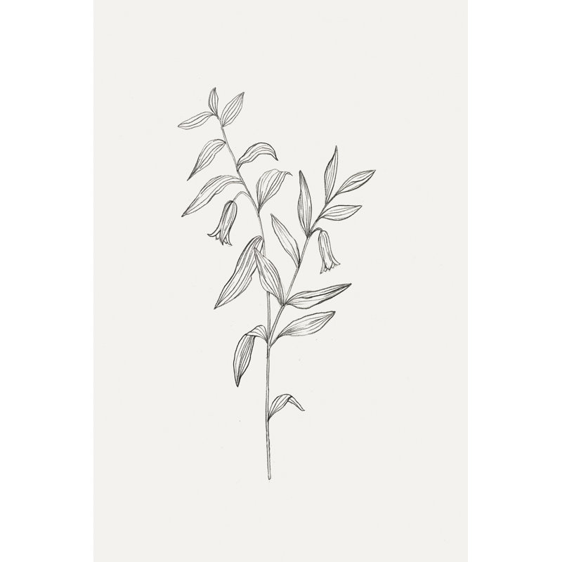 Wild Foliage Sketch IV by Victoria Borges - Wrapped Canvas Print, 122cm H x 81cm W
