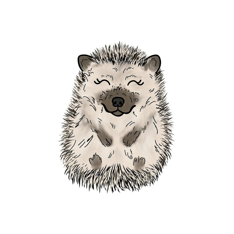 Hedgehog by Katie Bryant - Wrapped Canvas Print, 20.32 cm H x 30.48 cm W