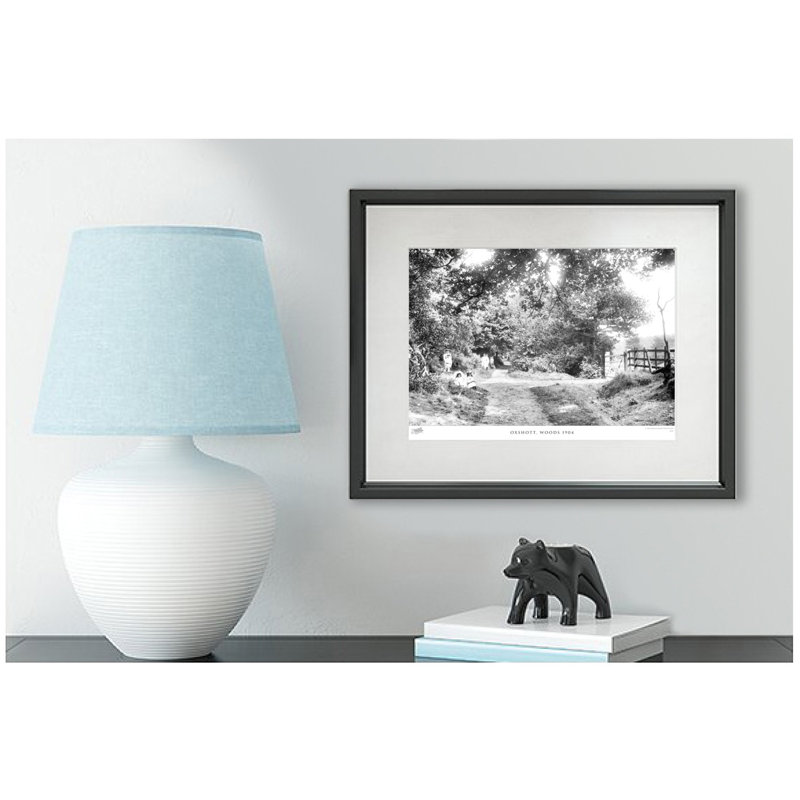 Oxshott, Woods 1904 by Francis Frith - Single Picture Frame Print, 45cm H x 60cm W x 2.3cm D