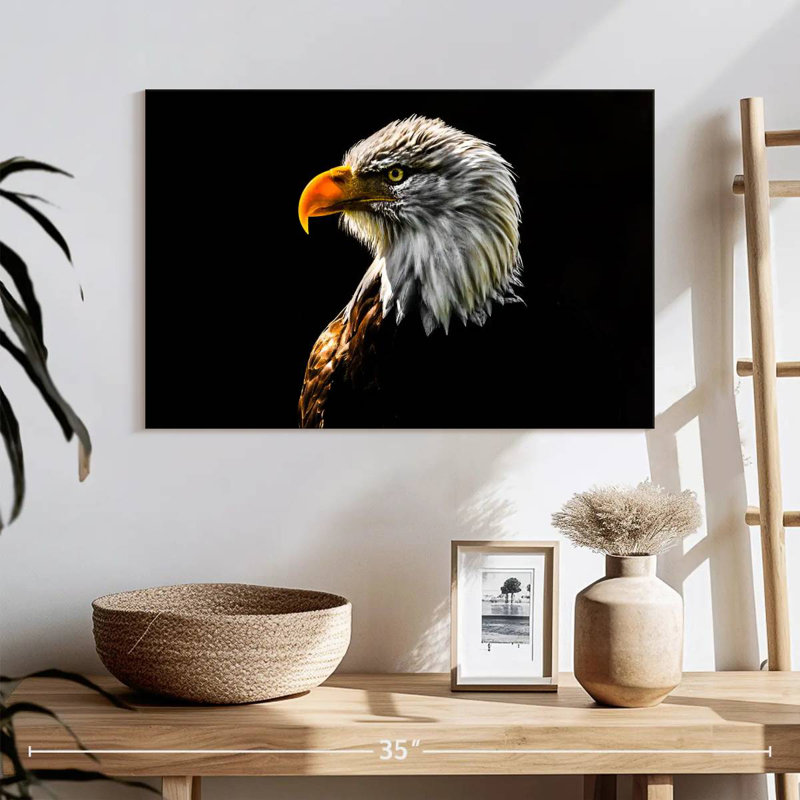 Gros plan d'un aigle à tête blanche, H 8 po x l 12 po