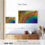 Plume de paon Brampt-108871774
