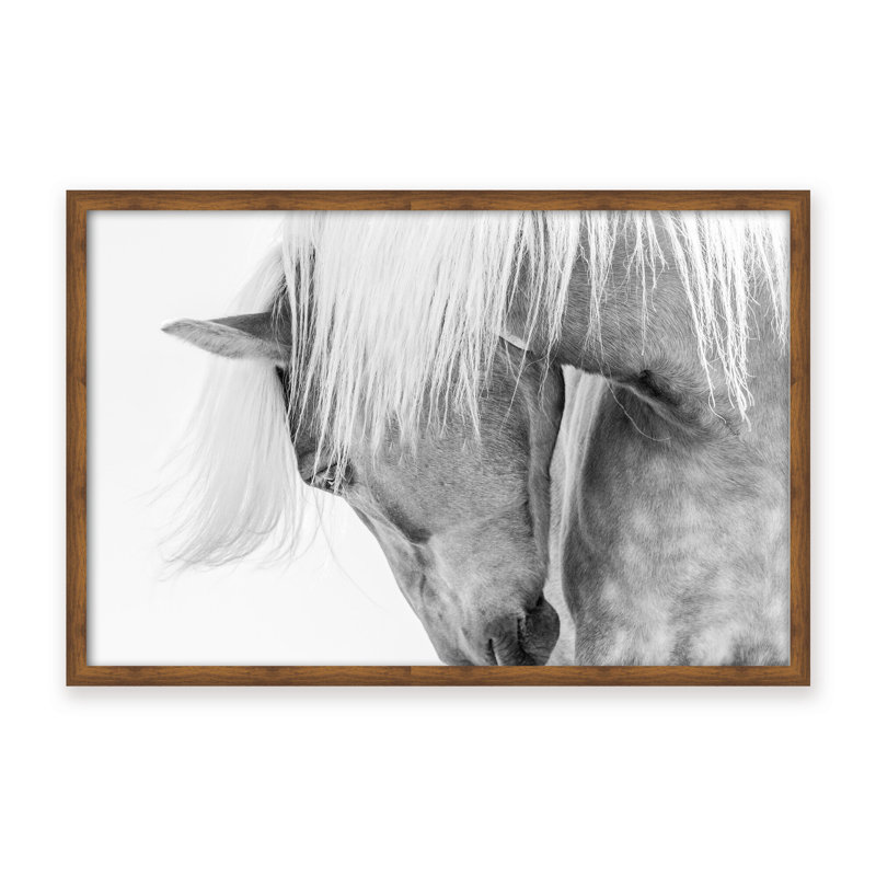 Nature Inspired Halflinger Portrait by  - Picture Frame Photograph on Paper, Black, Framed Canvas, 16" H x 24" W x 2.375" D