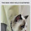 Sac fourre-tout en maille respirante pour chat-1044127605