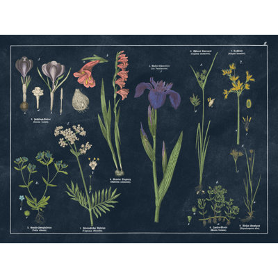 «Botanical Floral Map II» - impression sur toile tendue