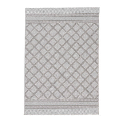 Indoor / Outdoor Rug
