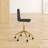 Mercer41 Andrieka Task Chair-470568772