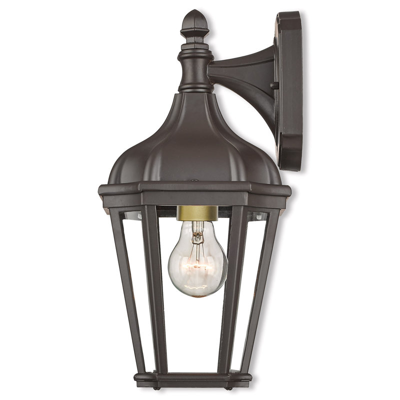7 inch 1 Light TBK Outdoor Wall Lantern with Clear Glass Shade, Bronze/Satin Brass