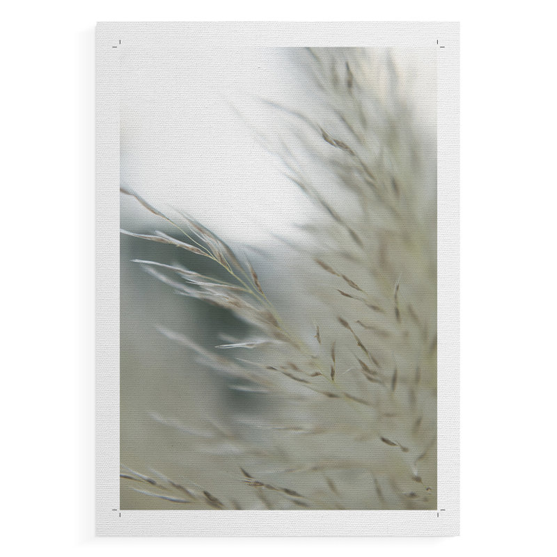 Subtle Graminées II - Impression sur toile seulement - NON-CADRE, H 12 po x l 8 po