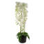 Real Touch Artificial Orchids Plastic, Silk Artificial Arrangement in Planter-88685008-107236912