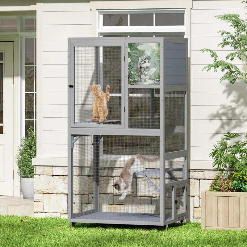 Portable Cat House
