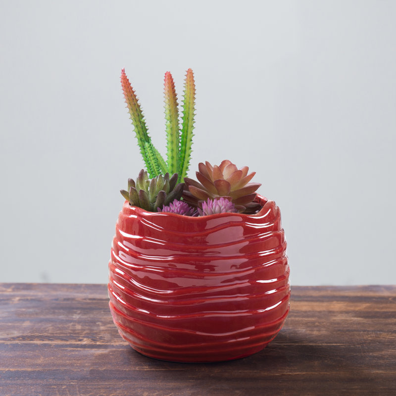 Ceramic Pot Planter