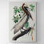 Roseate Spoonbill by John Audubon - Wrapped Canvas Print-1252483375