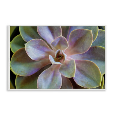 «Giclee Art» par Susan Bryant