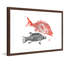 Andrew Clay - Single Picture Frame Print-20604337