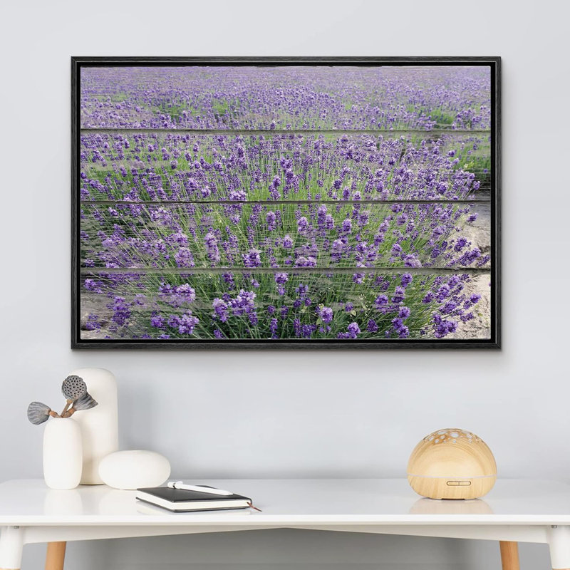 Flower Blossom " Purple Lavender Field ", Black Floater Framed, 16" H x 24" W x 2"D