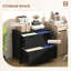 Classeur noir avec 2 tiroirs et serrure. Organisez efficacement votre bureau personnel. Convient aux formats lettre, A4 et légal. Élégant et pratique. - Panneau de particules revêtu. Capacité de l 31,1 po x l 15,7 po x H 28,3 po. Capacité de 132 lb.