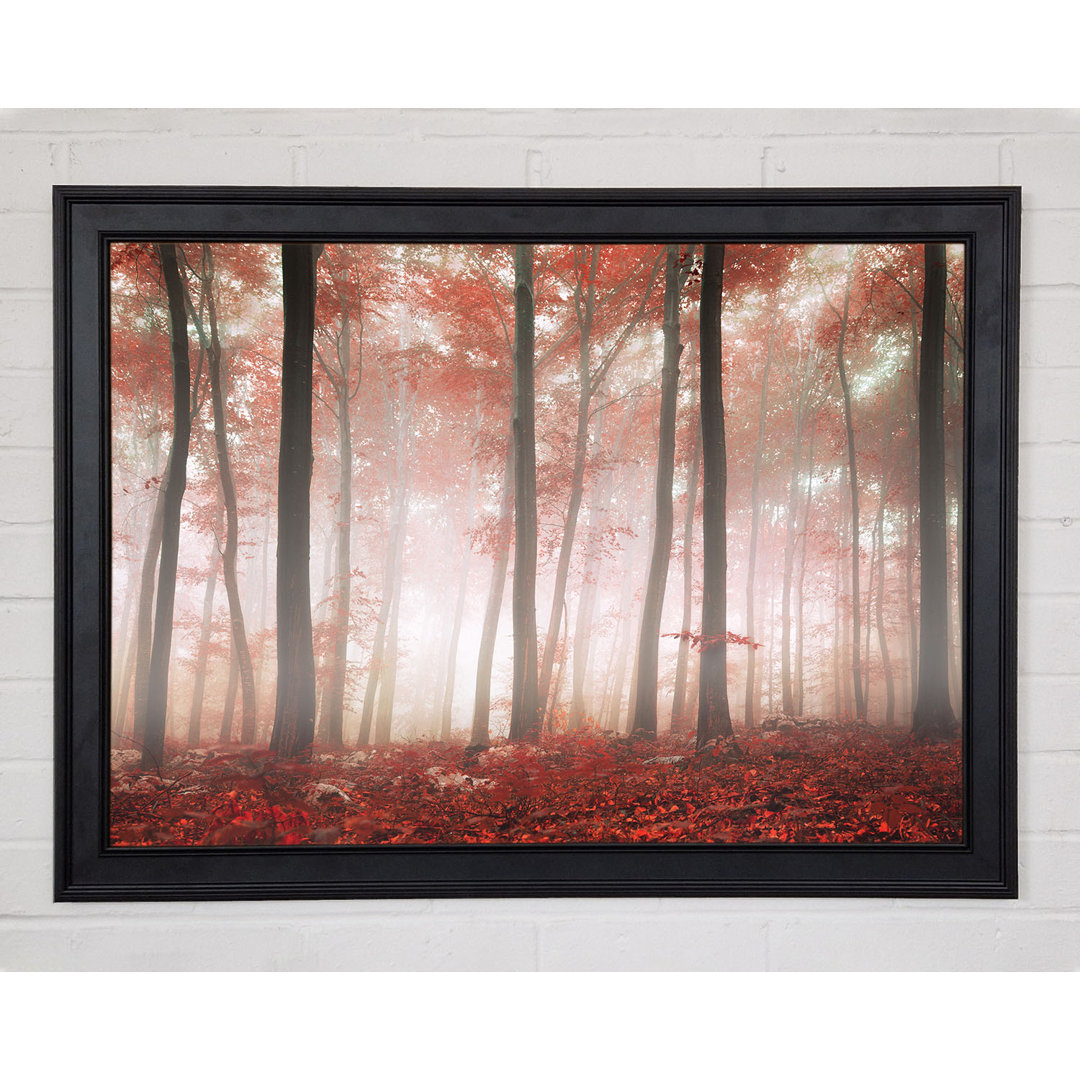 Gerahmter Druck: Red Misty Woods