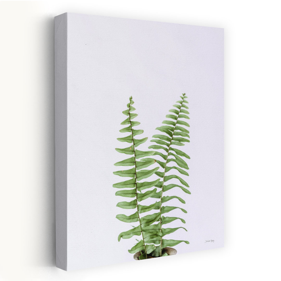 Boho Fern Abstract Contemporary Fern Landscape Nature Wall Art Print
