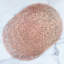 Napperon 15 "Signature-66968934