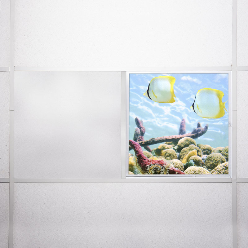 Ocean Square Fixture Component Ceiling Light