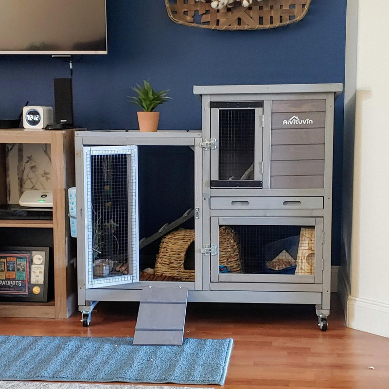 Weather Resistant Hutch with Ramp, Grey