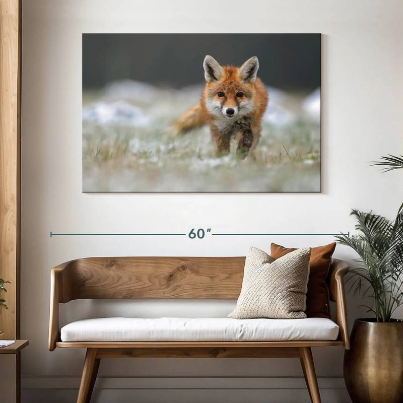 Brampt Baby Red Fox, 32" H x 48" W