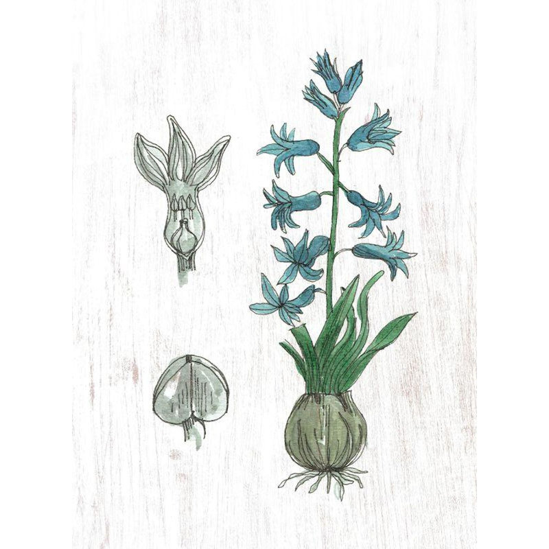 Plantes, œuvre d'art