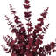 Vaporisateur d'eucalyptus artificiel 28 po Vickerman-88492718