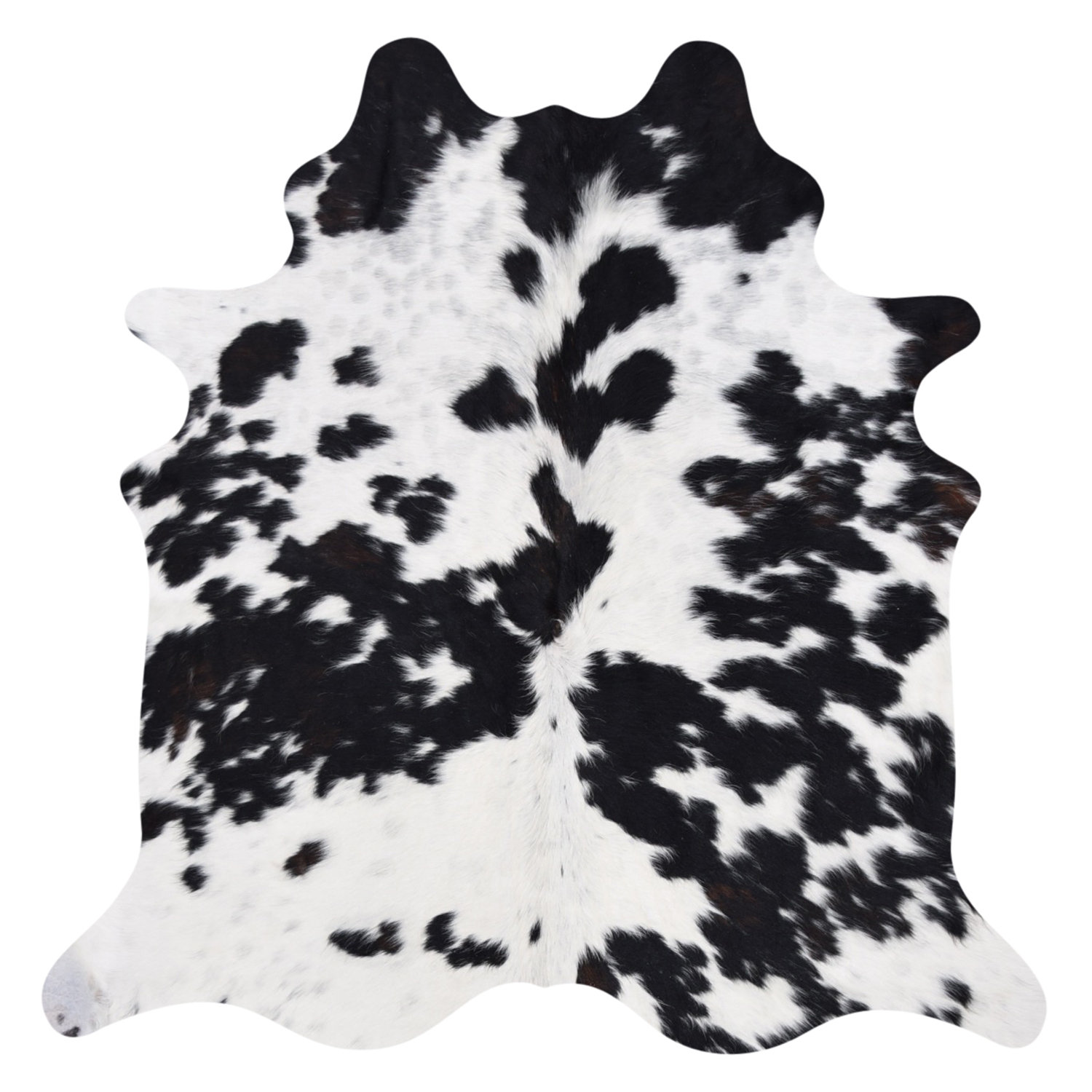 The Many Wonderful Markings of Cowhide - City Cows