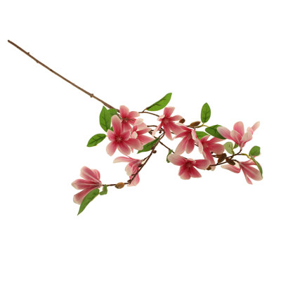 Magnolia Arrangement