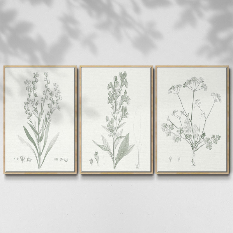 Étude botanique en sauge I 3 pièces, Naturel, H 36 po x l 72 po