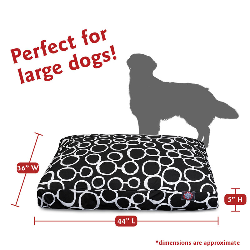 Coussin Fusion Orthopedic, Noir, Grand (l 36 po x P 44 po x H 5 po) ;